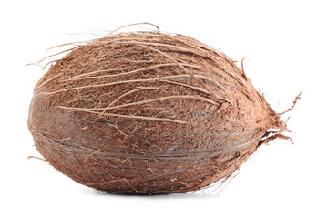 One whole coconut in shell isolated on white