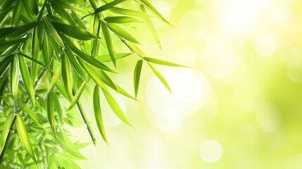 Vibrant bamboo leaf with dewdrops, soft sunlight, blurred flowers, embodying summer's refreshing simplicity.
