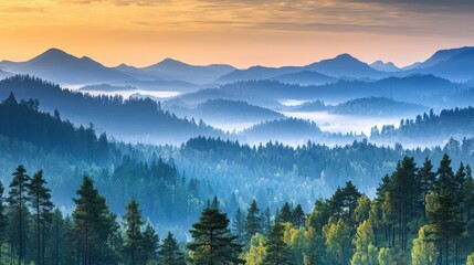 Fototapeta premium Lush green forest with tall trees and sunlight filtering through the leaves