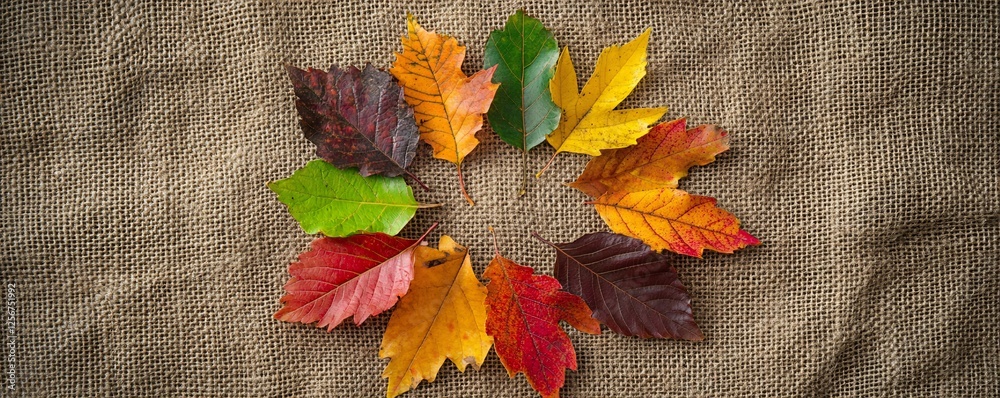 Aufkleber circle of colorful autumn leaves arranged on a rustic burlap background, evoking the warm hues of fa