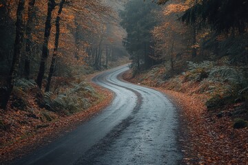 Obraz premium Winding road through autumnal forest, leaves scattered. Perfect for travel, nature, and autumn themes.