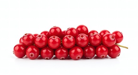 Vibrant Fresh Cranberry Bunch on Pristine White Background