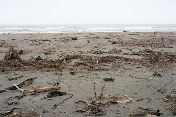 Empty Beach with Driftwood and Debris on a Grey Day – Desolate Coastal Scene