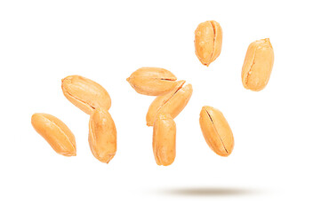 Falling roasted peanuts isolated on white background.