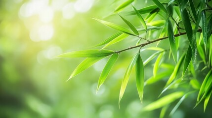 Vibrant bamboo leaf with dewdrops, soft sunlight, blurred flowers, embodying summer's refreshing simplicity.
