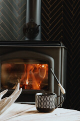 Metal fireplace with a glass door showcasing burning firewood