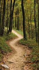 Obraz premium Winding Nature Trail Through Forest with Colorful Autumn Leaves