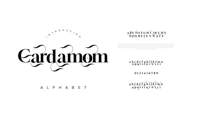 Cardamom typography beauty fashion elegant minimalist serif italic fonts decorative wedding vintage retro logos. Minimal luxury font alphabet logo. Vector illustration