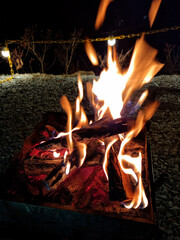 
It is a flame rising from a bonfire.