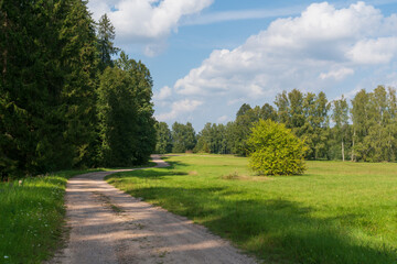 The country road to the Mikhailovskoye estate along the Festive glade on the territory of the Pushkin Museum-Reserve on a sunny summer day, Pushkinskiye Gory, Pskov region, Russia