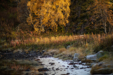 Autumn scenery in Lofoten Islands, Norway