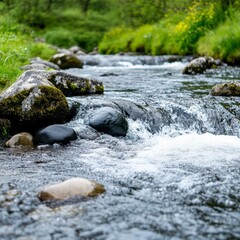 Tranquil Stream Flowing Through Lush Green Landscape in Nature