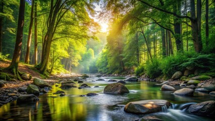 Fototapeta premium Serene forest stream flowing over smooth rocks and pebbles surrounded by tall trees and lush greenery with sunlight filtering through the leaves , sunlight, pebble