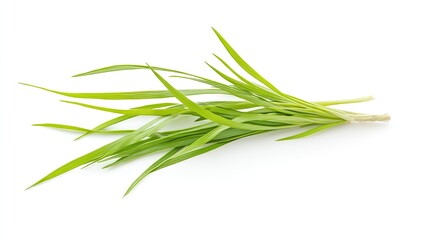 Fototapeta premium Fresh green chives, isolated, ready for use, as a garnish or ingredient