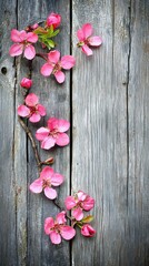 Fototapeta premium Pink blossoms on rustic wood; spring floral arrangement; nature background; greeting card design