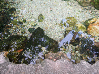 Natural mineral water source in the forest