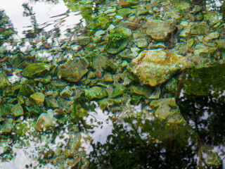 Natural mineral water source in the forest