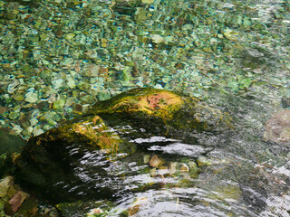 Natural mineral water source in the forest