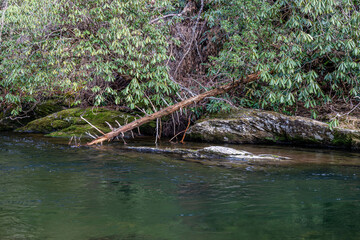 river water
