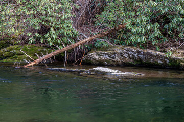 river water