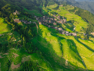 Fototapeta premium Aerial drone image of the beautiful formation of paddy terrace at Longsheng, Longji, Guilin, China