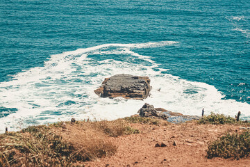sea and rocks
