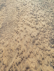 sand texture background