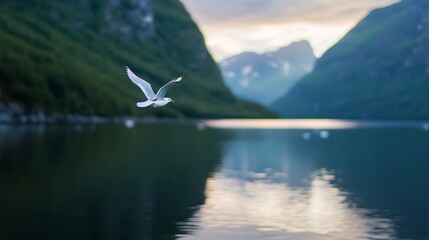 Fototapeta premium A graceful white bird flying high over calm waters during a stunning sunset in the mountains : Generative AI