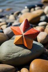 Star-Shaped Object on Rocks