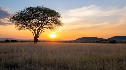 Majestic sunset over a vast savanna landscape featuring a lone tree silhouetted against the horizon : Generative AI