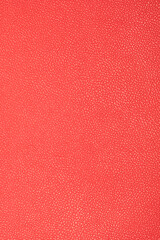 Obraz premium Close-up of red leather show detail and texture