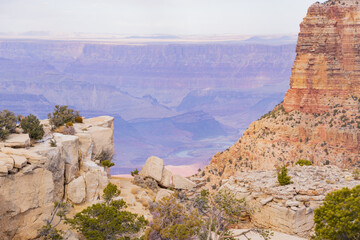 Grand Canyon Rim Overlooking the Expansive Landscape