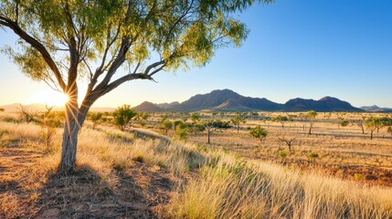 Obraz premium Outback Australian Sunrise Landscape