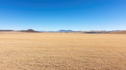 Fototapeta premium Vast, dry grassland landscape under clear sky