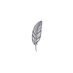 feather_logo isolated on white background