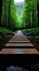 Obraz premium Forest Path with Wooden Steps over Stream Scenery View