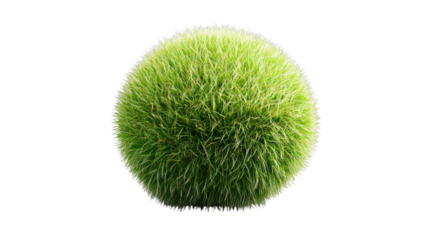 Green grass sphere floating on transparent background representing environmental conservation