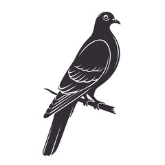 High-Quality Minimalistic Dove Bird Silhouette Isolated on Transparent Background
