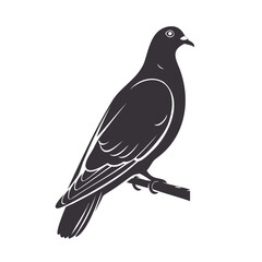 Fototapeta premium Minimalist Dove Bird Silhouette Flat Vector Design on Transparent Background