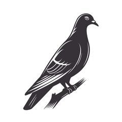 High-Quality Minimalistic Dove Bird Silhouette Isolated on Transparent Background