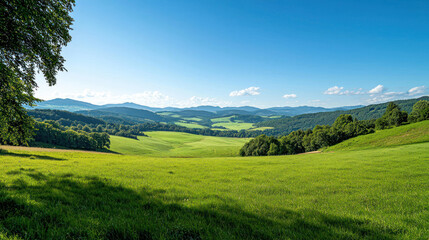Obraz premium Panoramic Valley Landscape Under Sunny Sky