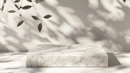 Marble podium, leaf shadows, minimalist background, product display (1)