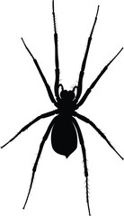 Spider silhouette illustration