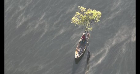 Rowing a boat in the flooded forest in Tuyen Lam Lake area, Da Lat. Video shot in Da Lat on January 15, 2025. - Powered by Adobe