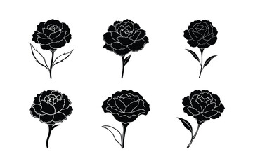 Silhouette of a Carnation Blossom Adorned with Overlapping Petals