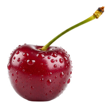 Vibrant cherry with fresh water droplets isolated a transparent background