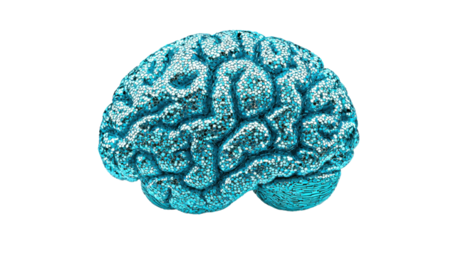 A digitally created blue brain with a detailed, textured surface, symbolizes intelligence, creativity, and neuroscience, to thinking, innovation, and cognitive science.