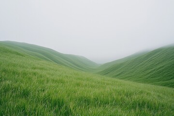 Obraz premium Green hills, grassy field, soft lighting, minimalism