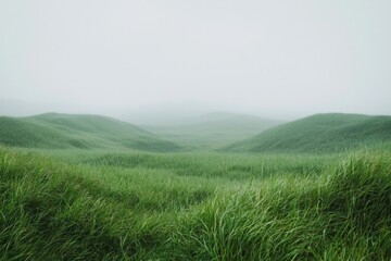 Obraz premium Green hills, grassy field, soft lighting, minimalism