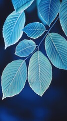 Unique Blue-Hued Leaves with Detailed Veins on Dark Blue Background. Dreamy and Surreal Artistic Design for Decoration and Art